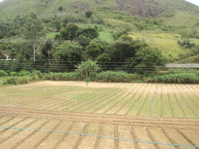 Área rural à venda, Água Quente, Teresópolis - AR0003. - Foto 6