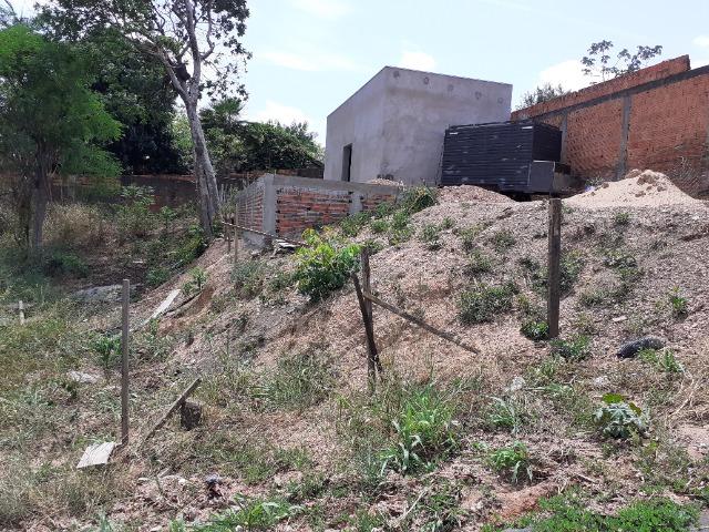 Terreno