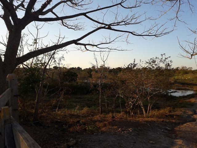 Sítio muito bom - Foto 13
