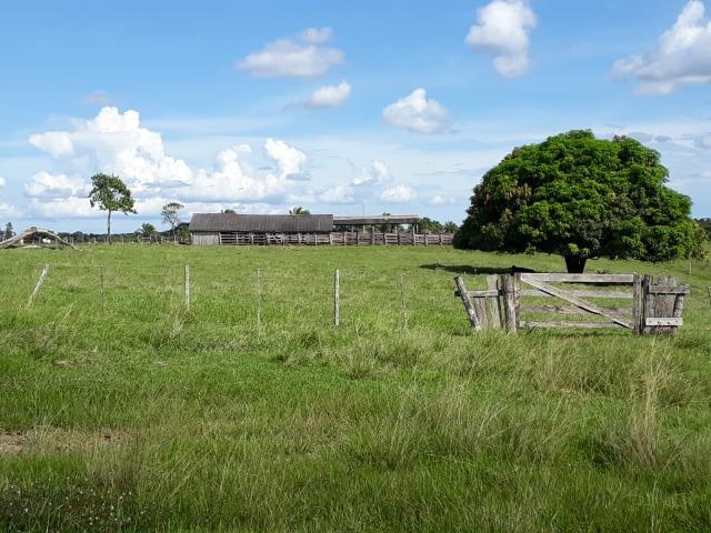 Fazenda Terra de cultura em Arenapolis - Foto 5