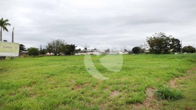 Terreno para alugar, 18000m² - Jardim São Jorge - Londrina/PR - Foto 2