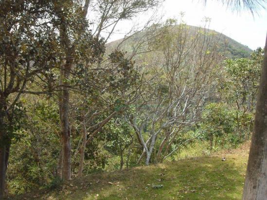 Sítio rural à venda, Bonsucesso, Teresópolis. - Foto 3