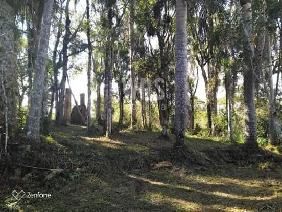 Imperdível oportunidade para adquirir sua bela chácara de lazer - Foto 3