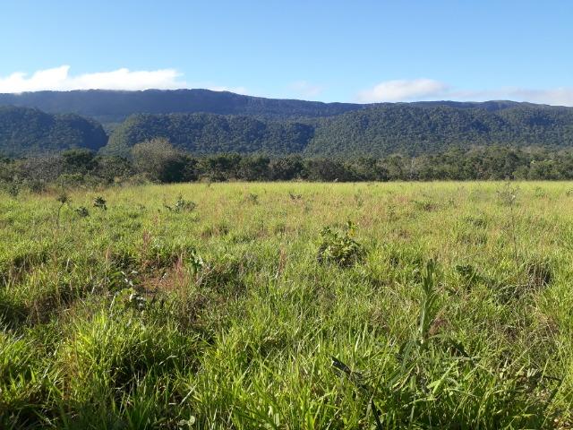 Fazenda com dupla aptidão em Rosário Oeste Mato Grosso - Foto 18