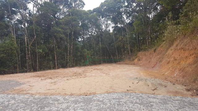 Terreno residencial à venda, Comary, Teresópolis - TE0225.