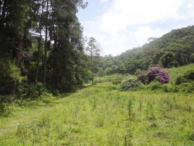 Sitio com 780.000 m² por R$ 1.150.000 - Ponte Nova - Teresópolis/RJ - Foto 8