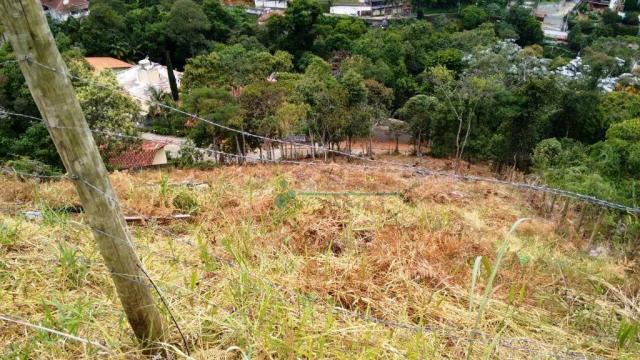 Terreno residencial à venda, Quinta da Barra, Teresópolis. - Foto 4