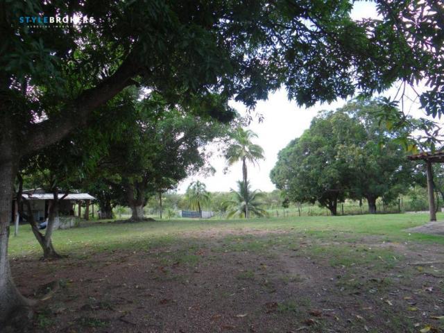 Chácara no Sucuri II - Foto 17