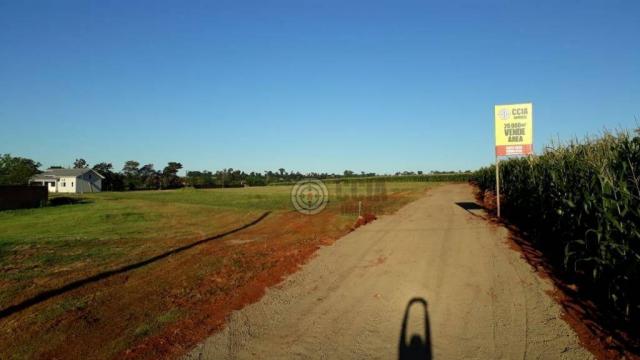 Chácara 24.200 m2 próx. Felipe Wandcheer
