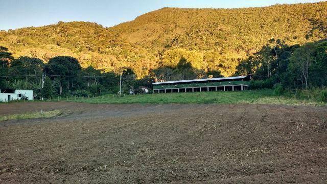 Fazenda rural à venda, Serra do Capim, Teresópolis. - Foto 15