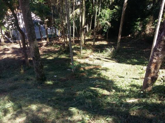Terreno residencial à venda, Vargem Grande, Teresópolis. - Foto 5