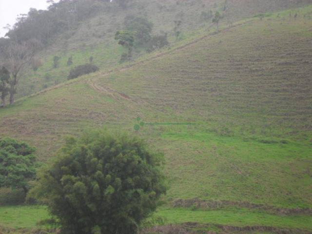 Área Venda Nova - Foto 11