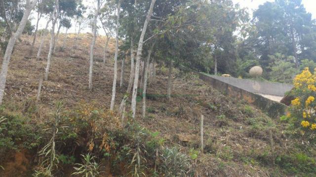 Terreno residencial à venda, Quinta da Barra, Teresópolis. - Foto 7