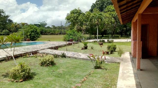 Belíssimo Sitio na Estrada de Mosqueiro, px a Barreira da Polícia - Foto 4
