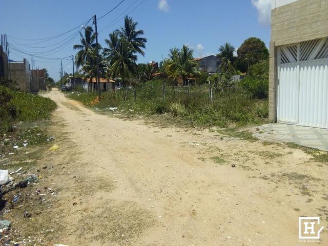Lote à venda - mosqueiro (zona de expansão) - Foto 6