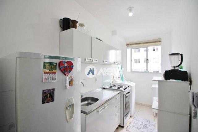 Apartamento com 2 dormitórios à venda, 42 m² por r$ 159.600 - operário - novo hamburgo/rs - Foto 5