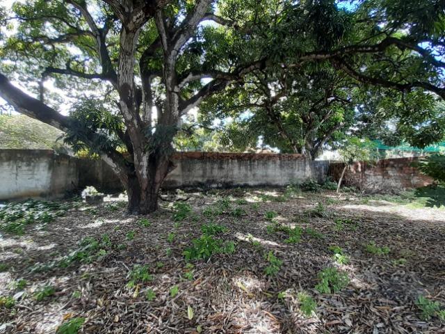 Messejana - Terreno 1.967m² na Av. Perimetral - Foto 14