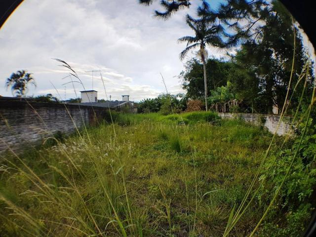 Terreno à venda, 420 m² por r$ 185.000,00 - são josé - novo hamburgo/rs - Foto 4