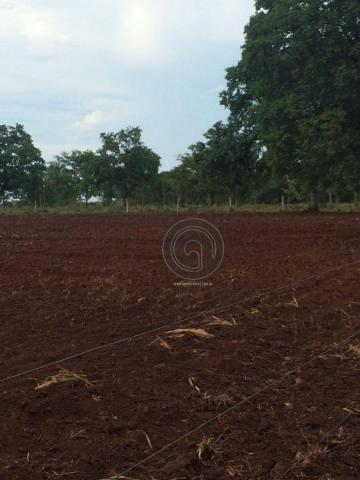 Fazenda 104 ha poconé mt - Foto 14