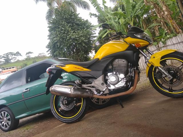 CB 300 Filé - Foto 5