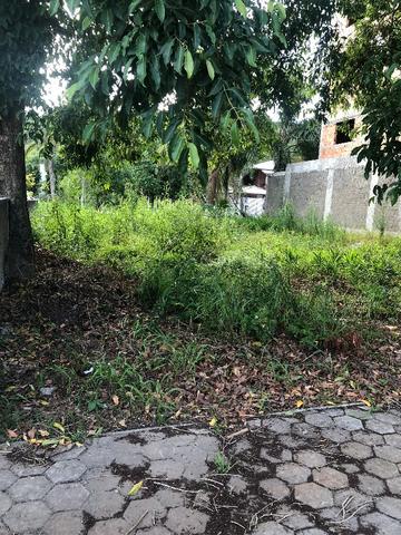 Terreno em zimbros - Foto 3