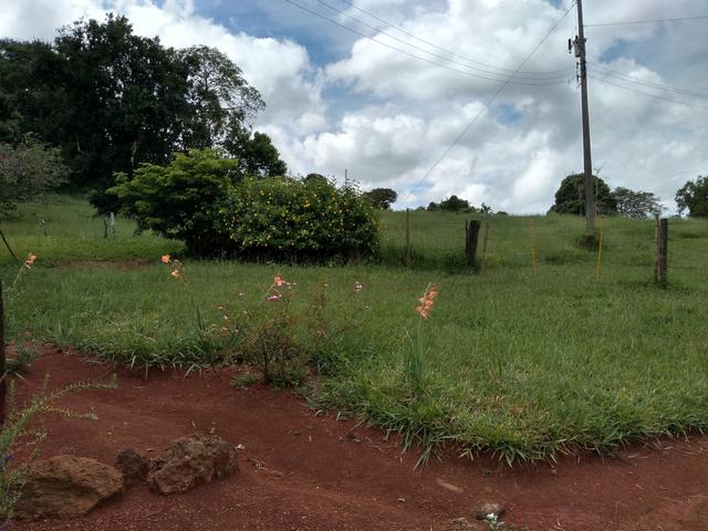 Sitio para gado e plantio de café - Foto 11