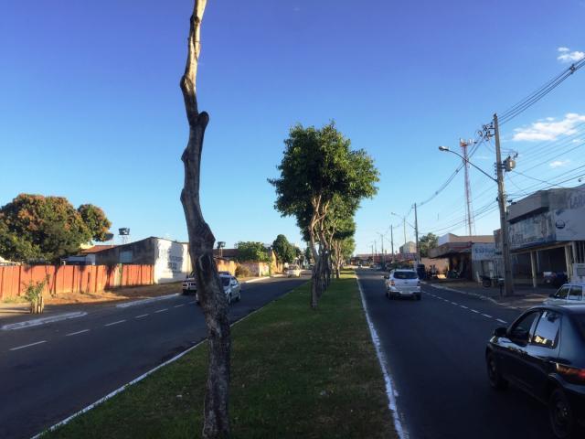 Galpão/depósito/armazém para alugar em Residencial vereda dos buritis, Goiânia cod:GD2932 - Foto 4
