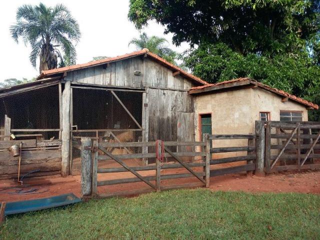 80 Alq. Pra Cana Boa De Água Bem Montada Quirinópolis GO - Foto 16