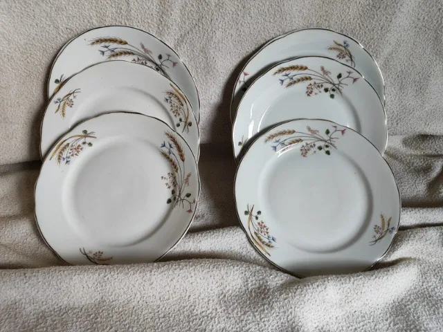 Pratos de Sobremesa Porcelana Steatita + Brinde Xícara