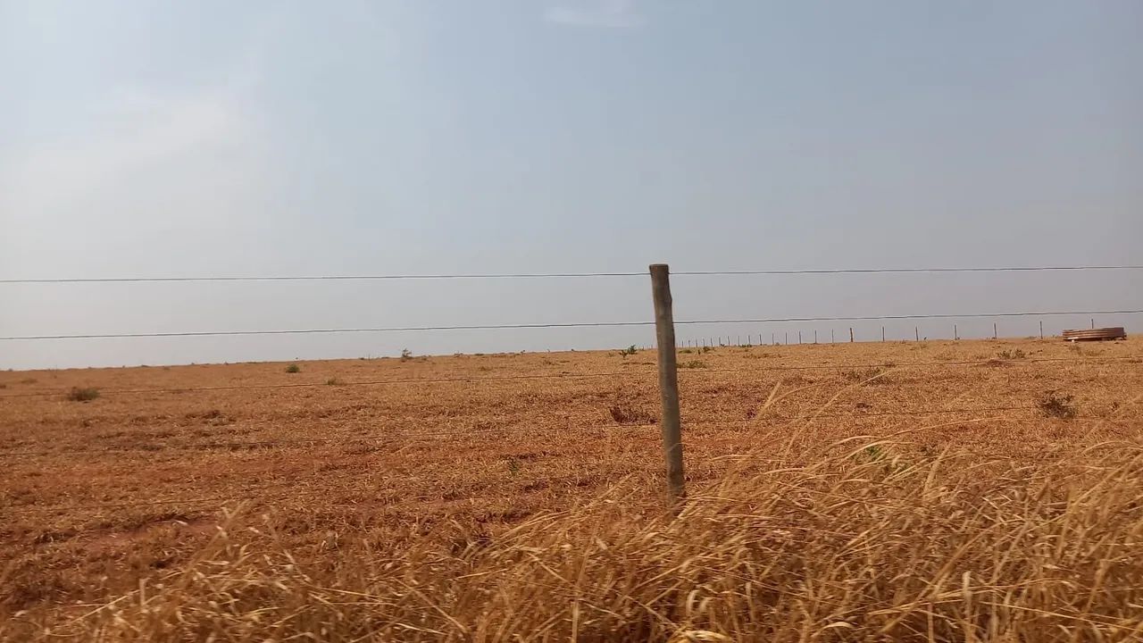 Fazenda próximo Uberlândia 1000 hectares  - Foto 2