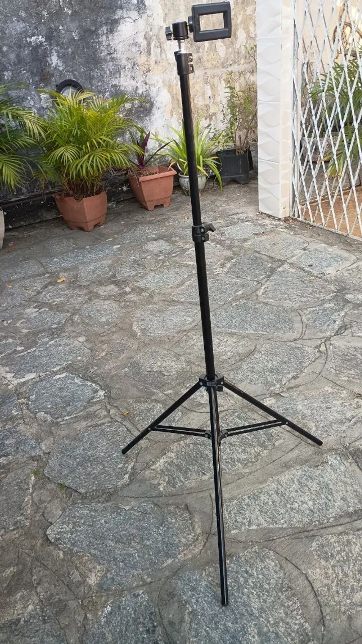 Tripe 64520779776770120