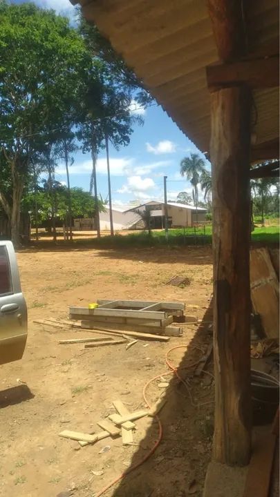 Mini pônei - Foto 5