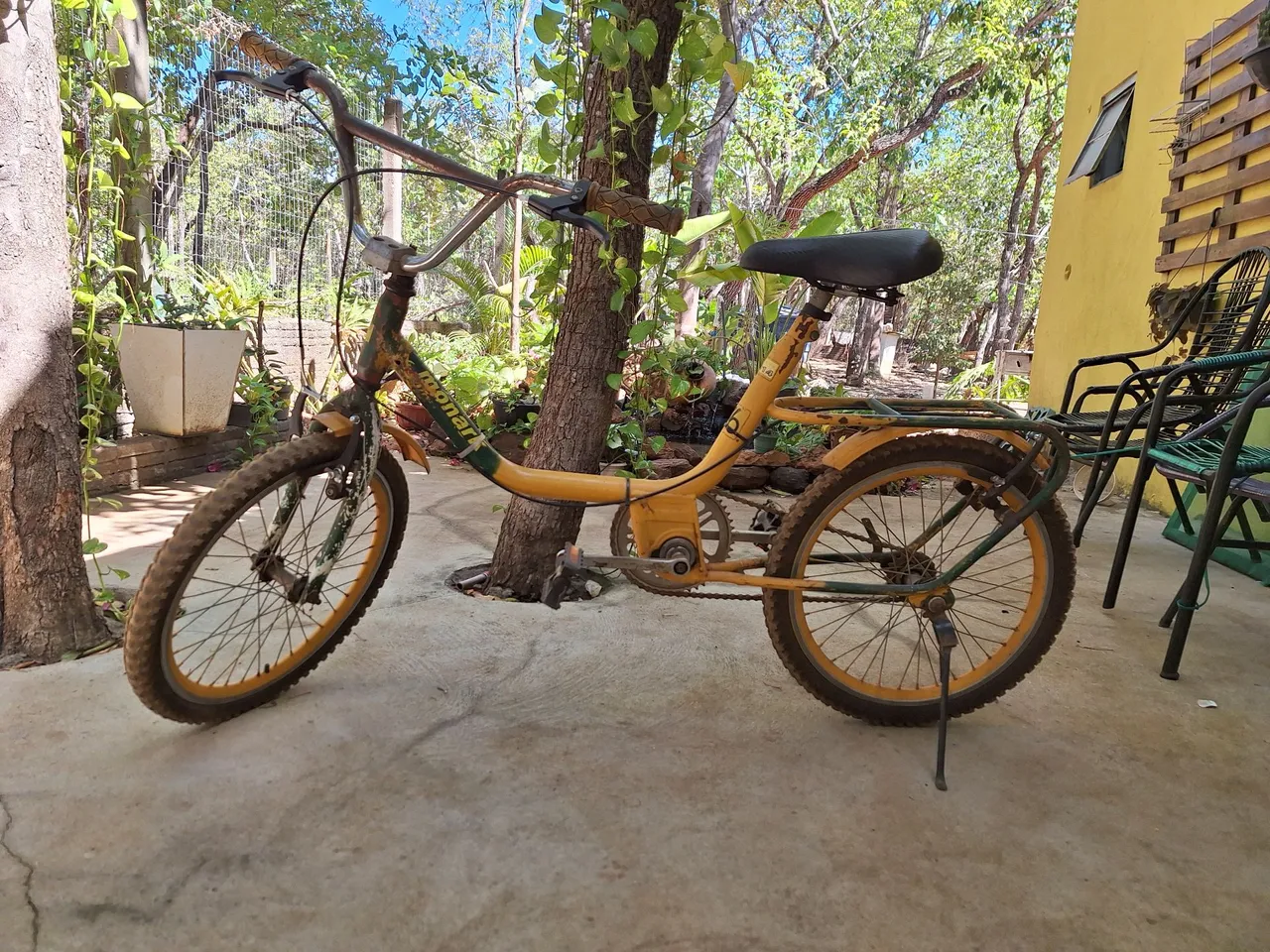 Monareta