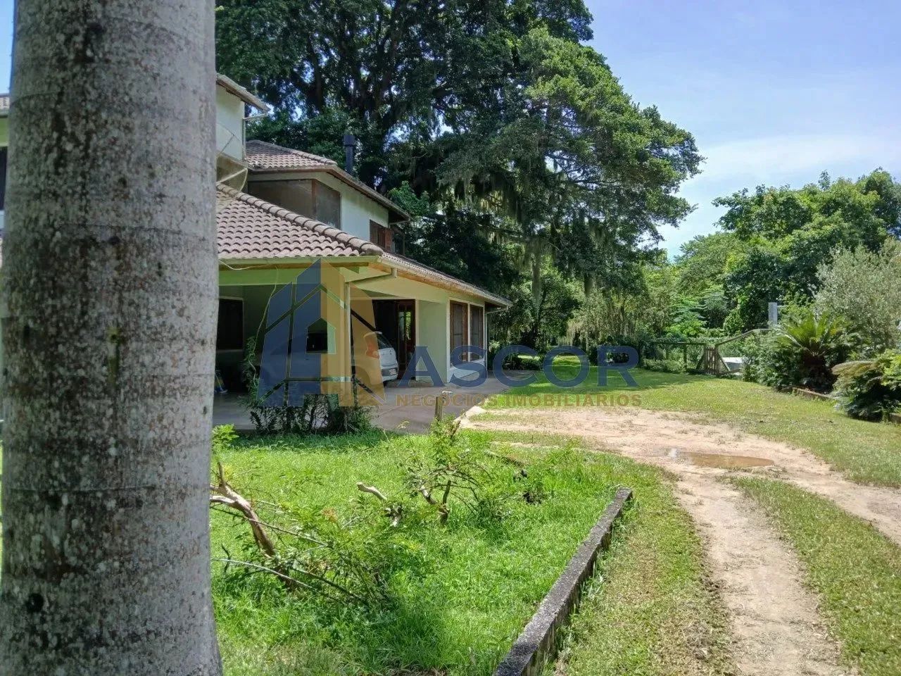 Lindo Sitio próximo ao trevo de Jurerê - Foto 2