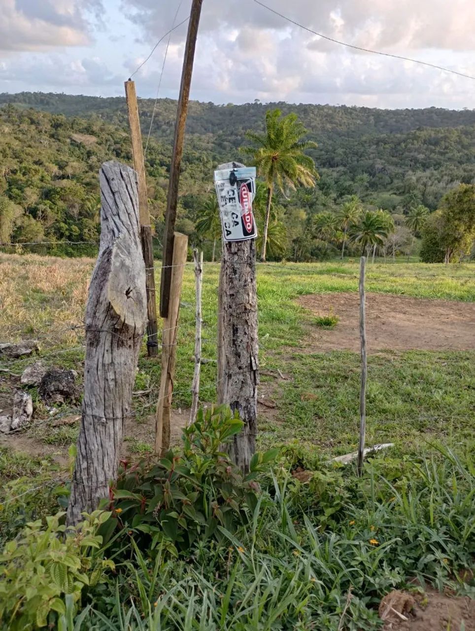 Vendo excelente sítio em Valença Bahia  - Foto 4