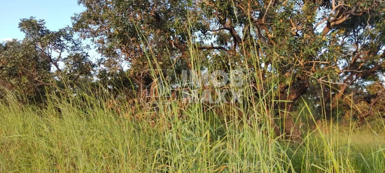 Chácara escriturada DF 140 - 2 ha - Mansões Fazendarias - TORORO - Foto 7