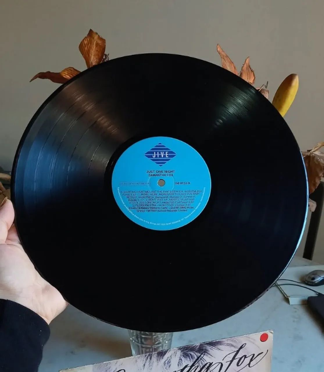 LP Vinil - Samantha Fox - Just One Night (1991) - Foto 5