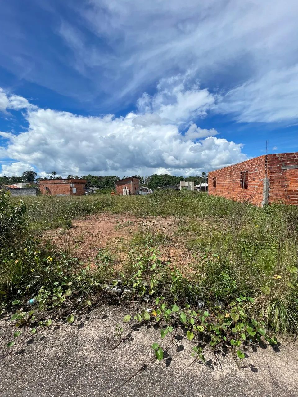 Repasse no Terra Nova Amapá