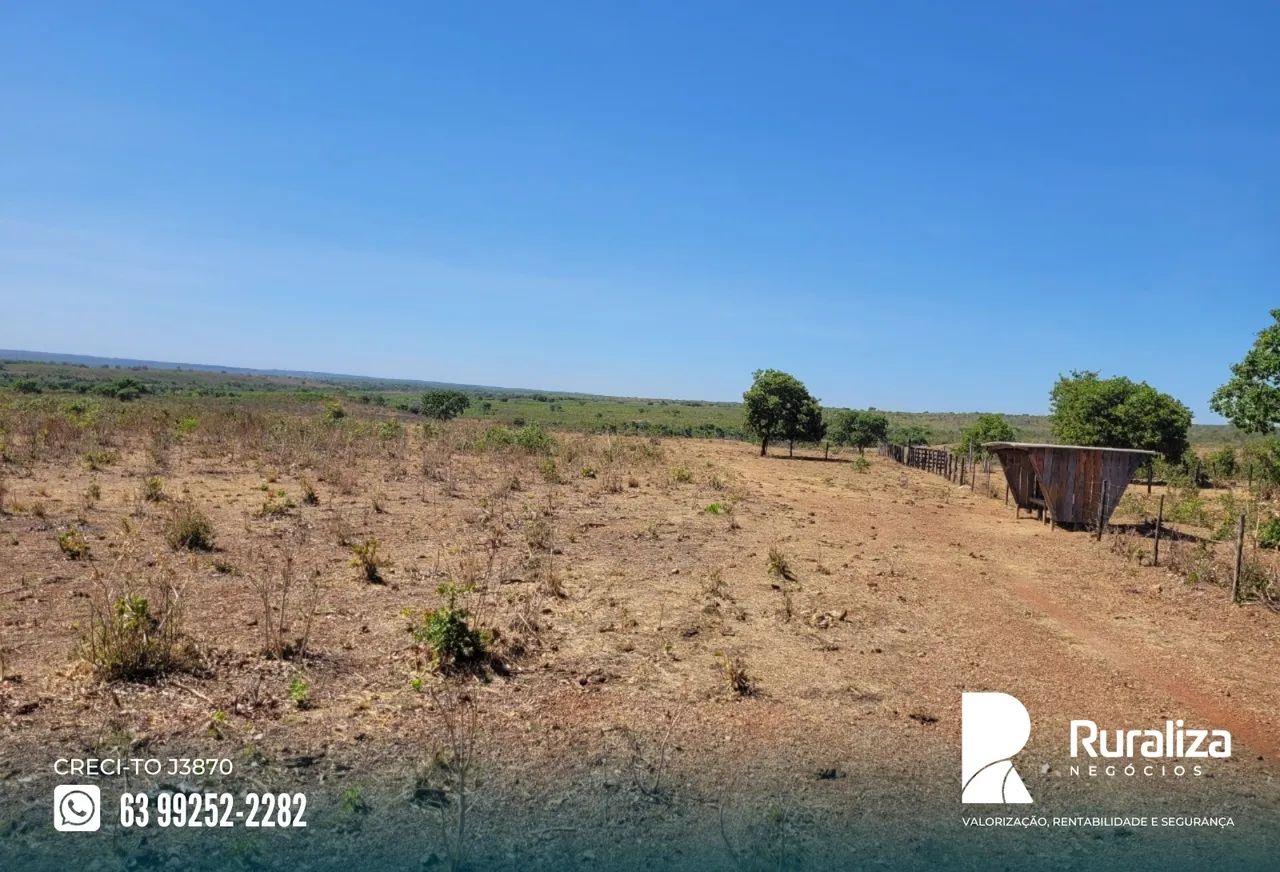 Fazenda de oportunidade às margens do asfalto com excelente aptidão agrícola - Foto 4