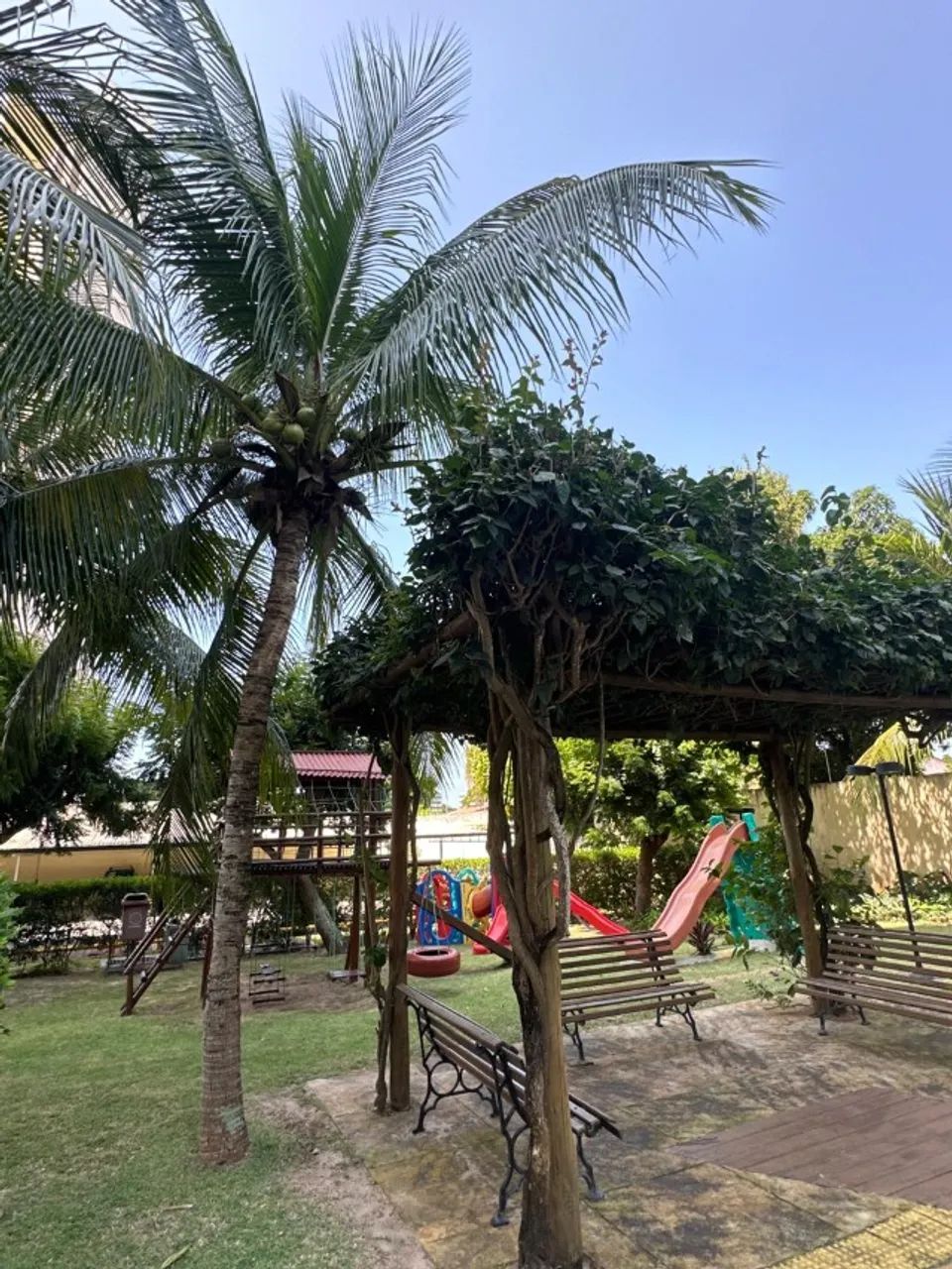 Foto - Natal - Lagoa Nova