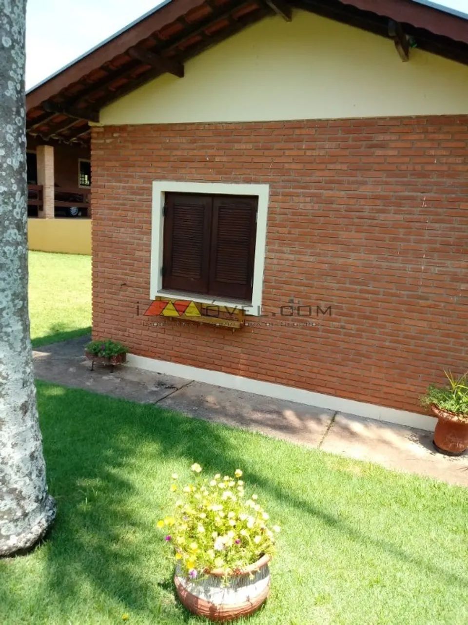 Venda de Rural / Chácara na cidade de Ipeúna - Foto 4