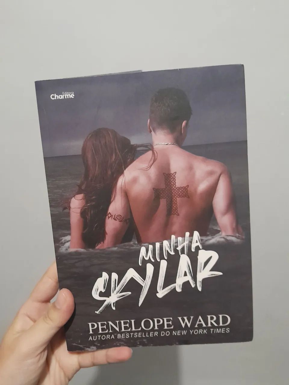 Livro Minha Skylar