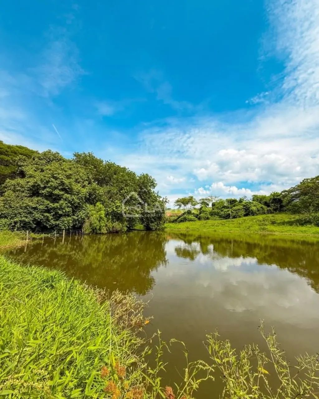 SITIO EM BARIRI | 5,5 ALQUEIRES - Foto 3