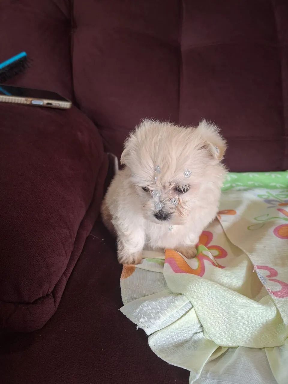 Vendo - Foto 3