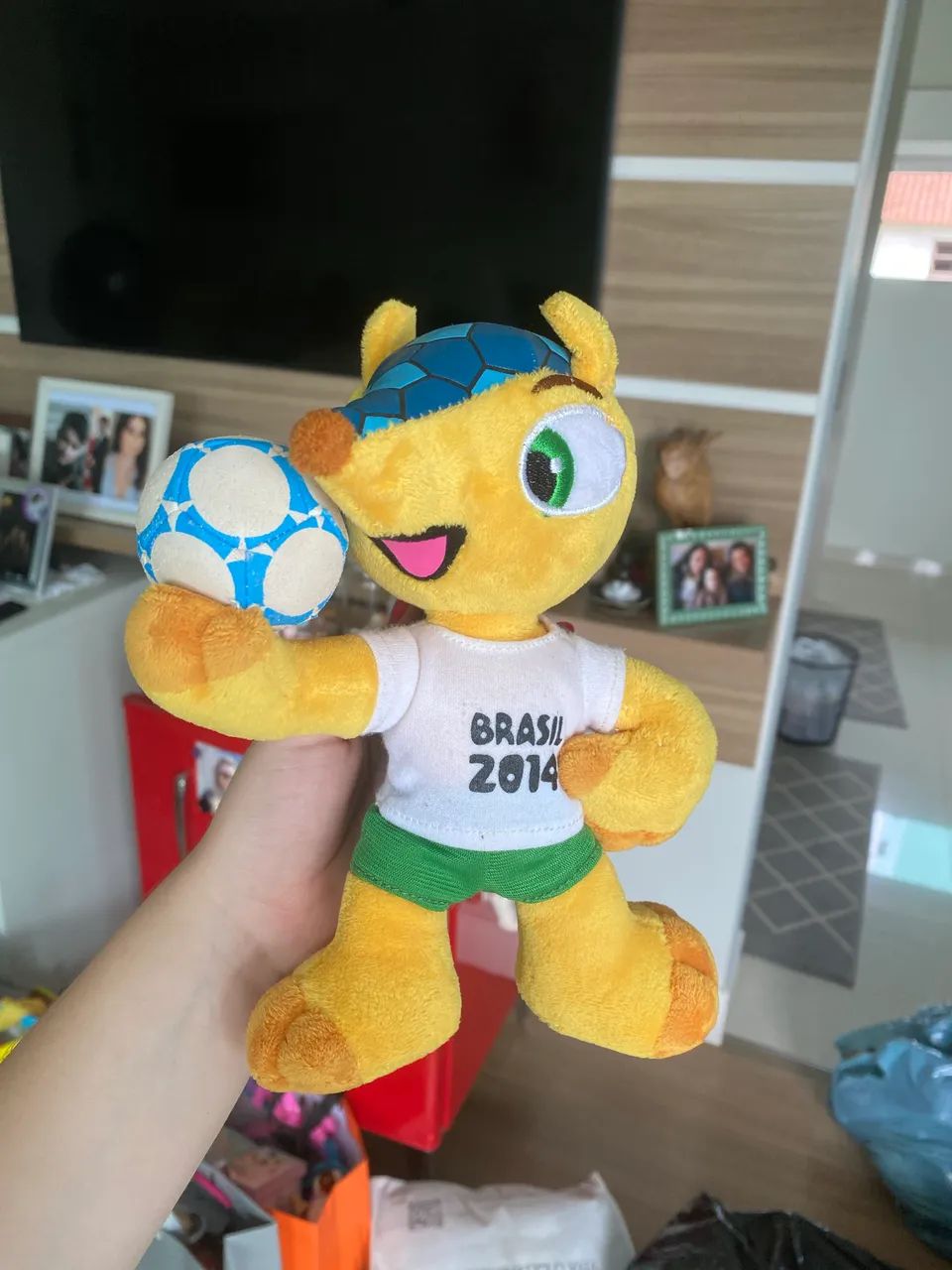 Fuleco Copa do Brasil 2014
