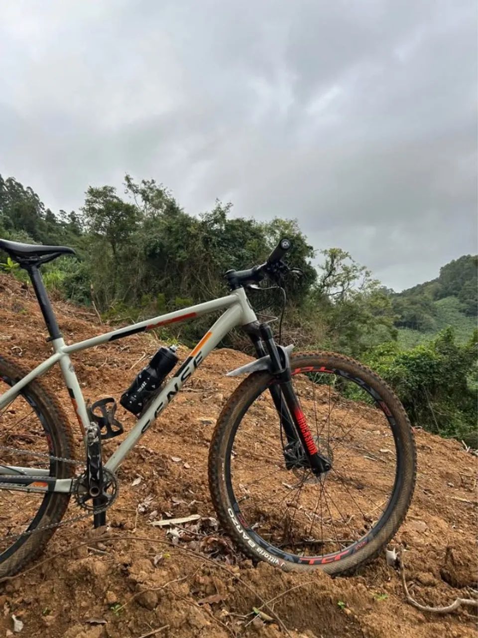 Bike Sense Impact Evo 2021