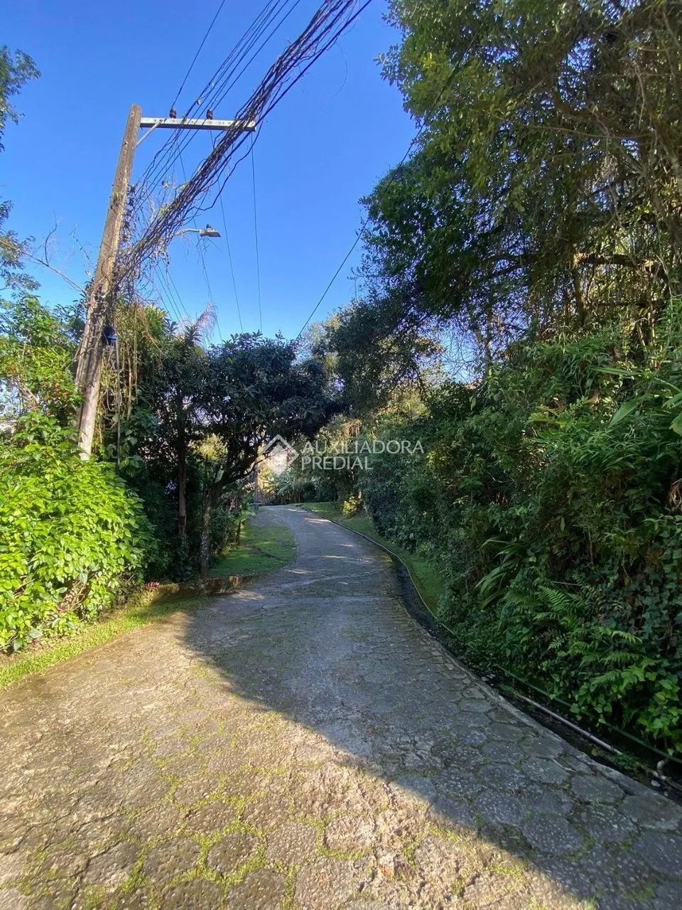Terreno à venda, Lagoa da Conceição, FLORIANOPOLIS - SC - Foto 3