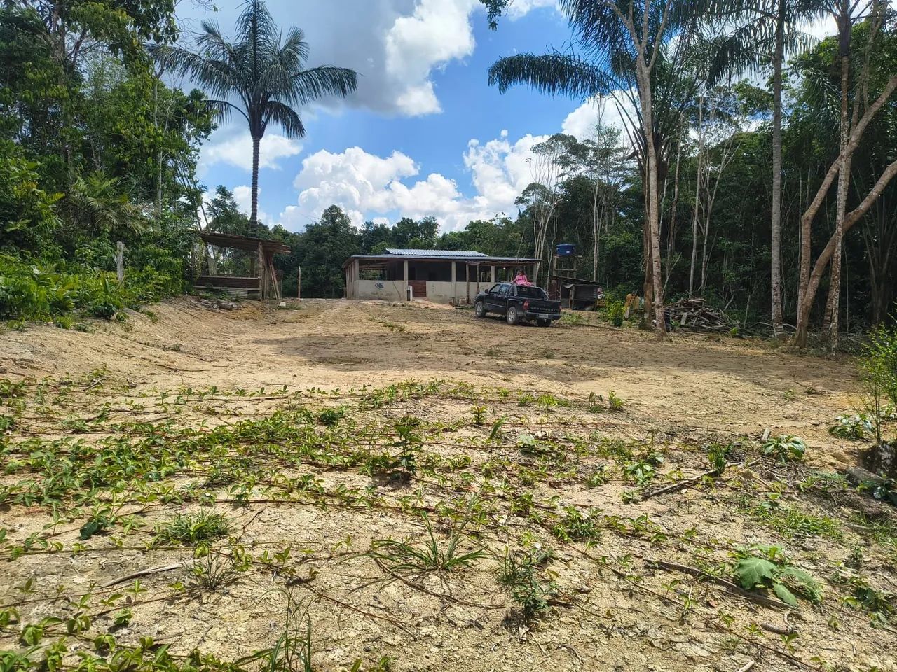 Sítio com uma casa - Foto 3