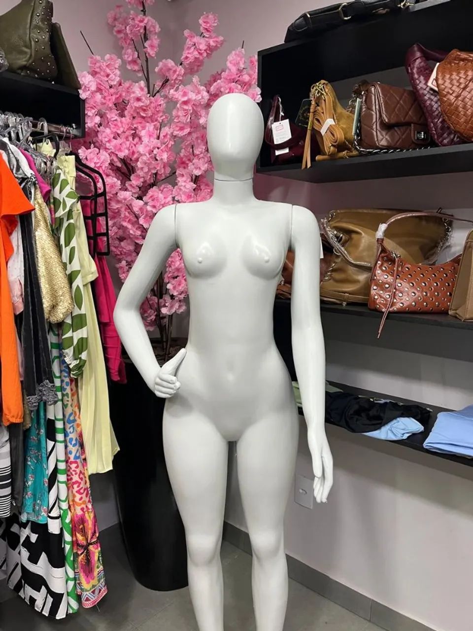 Vendo manquim 