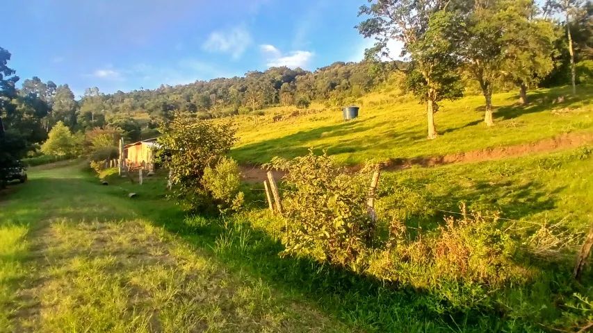 Sitio com 5ha 50000m² - Foto 3